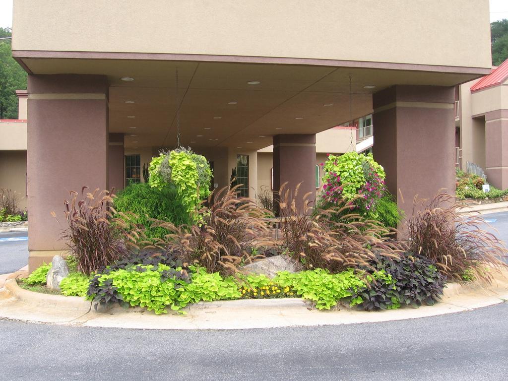 Chestnut Tree Inn - Cherokee Exterior foto